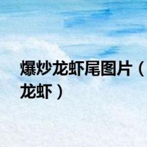 爆炒龙虾尾图片（爆炒龙虾）