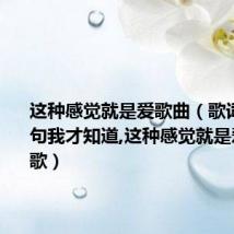 这种感觉就是爱歌曲(歌词最后一句我才知道,这种感觉就是爱是什么歌)