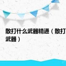散打什么武器精通（散打用什么武器）