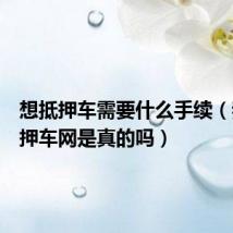 想抵押车需要什么手续(我要抵押车网是真的吗)