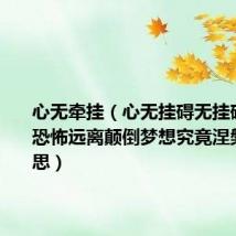 心无牵挂(心无挂碍无挂碍故无有恐怖远离颠倒梦想究竟涅槃什么意思)