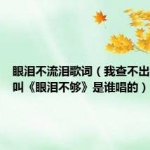 眼泪不流泪歌词（我查不出那首歌叫《眼泪不够》是谁唱的）