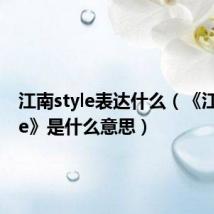 江南style表达什么(《江南style》是什么意思)
