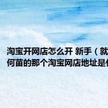 淘宝开网店怎么开 新手(就是hear何苗的那个淘宝网店地址是什么)