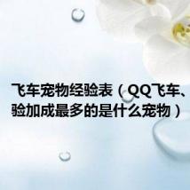飞车宠物经验表(QQ飞车、宠物经验加成最多的是什么宠物)