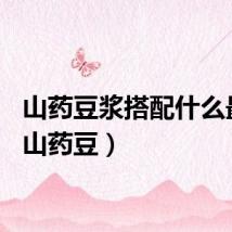 山药豆浆搭配什么最好（山药豆）