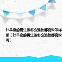 牡羊座的男生该怎么追他都喜欢怎样的女生呢视频(牡羊座的男生该怎么追他都喜欢怎样的女生呢)