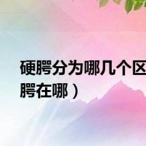 硬腭分为哪几个区（硬腭在哪）