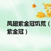 凤翅紫金冠饥荒（凤翅紫金冠）