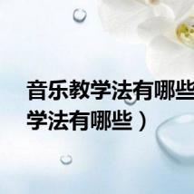 音乐教学法有哪些（教学法有哪些）
