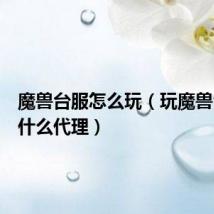 魔兽台服怎么玩(玩魔兽台服用什么代理)