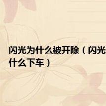 闪光为什么被开除(闪光夫妇为什么下车)