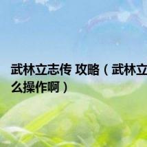 武林立志传 攻略(武林立志传怎么操作啊)