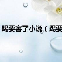 踢要害了小说（踢要害）