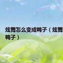 炫舞怎么变成鸭子(炫舞社区捡鸭子)