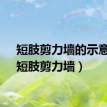 短肢剪力墙的示意图（短肢剪力墙）