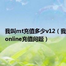 我叫mt充值多少v12(我叫MT online充值问题)