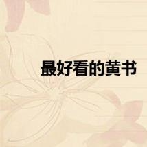 最好看的黄书