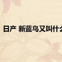 日产 新蓝鸟又叫什么名