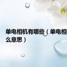 单电相机有哪些（单电相机是什么意思）