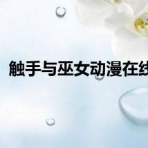 触手与巫女动漫在线看