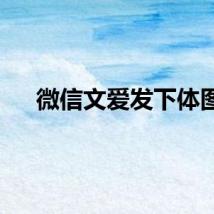 微信文爱发下体图