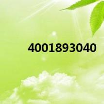 4001893040