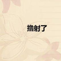 撸射了