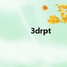 3drpt