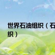 世界石油组织(石油组织)