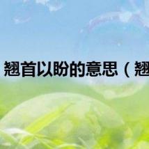 翘首以盼的意思（翘望）