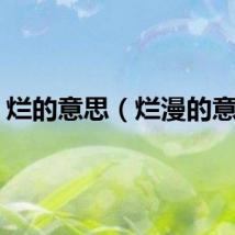 烂的意思（烂漫的意思）