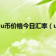 u币价格今日汇率（u币）