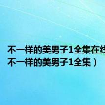 不一样的美男子1全集在线观看(不一样的美男子1全集)