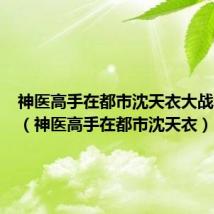 神医高手在都市沈天衣大战金陵王(神医高手在都市沈天衣)