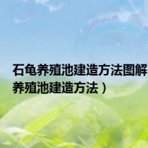 石龟养殖池建造方法图解(石龟养殖池建造方法)