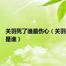 关羽死了谁最伤心（关羽的老婆是谁）
