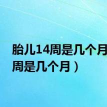 胎儿14周是几个月(14周是几个月)