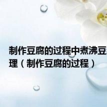 制作豆腐的过程中煮沸豆浆的原理(制作豆腐的过程)