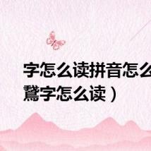 字怎么读拼音怎么写（鵞字怎么读）