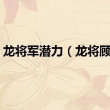 龙将军潜力（龙将顾问）