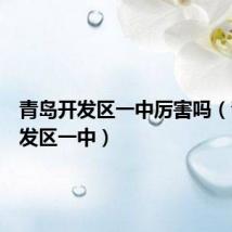 青岛开发区一中厉害吗(青岛开发区一中)
