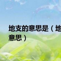 地支的意思是（地支的意思）