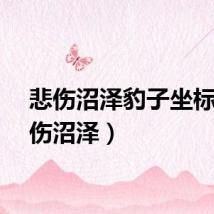 悲伤沼泽豹子坐标（悲伤沼泽）