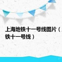 上海地铁十一号线图片(上海地铁十一号线)