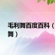 毛利舞百度百科（毛利舞）