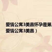 爱情公寓3美嘉怀孕是第几集(爱情公寓3美嘉)