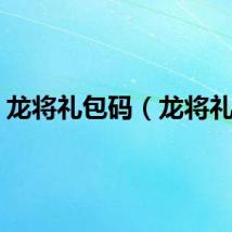 龙将礼包码（龙将礼包）