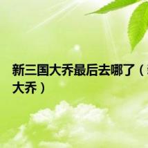新三国大乔最后去哪了（新三国大乔）