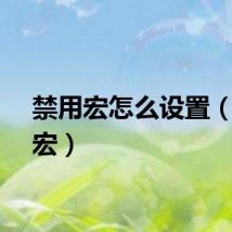 禁用宏怎么设置（禁用宏）